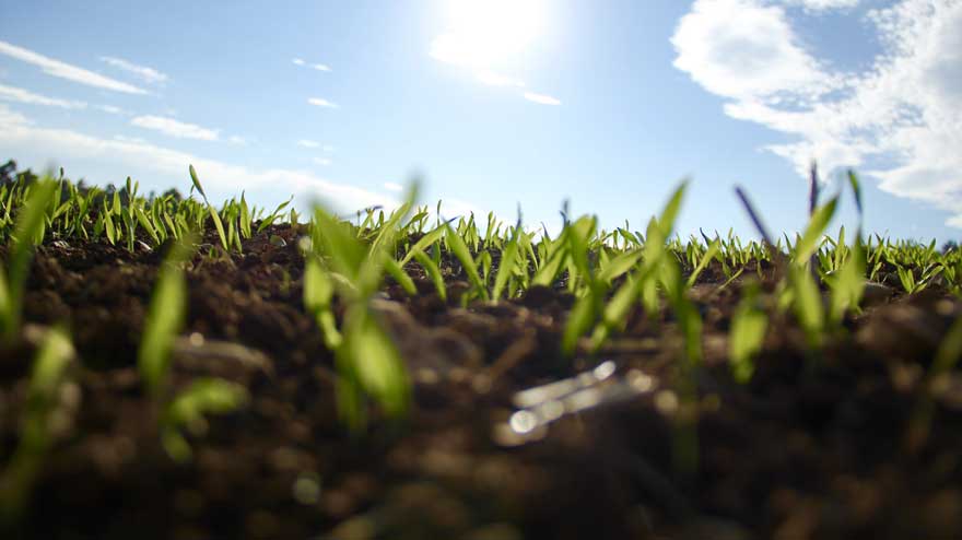 La agricultura renace y la economía se beneficia