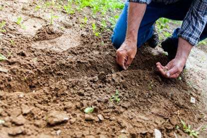 La agricultura renace y la economía se beneficia