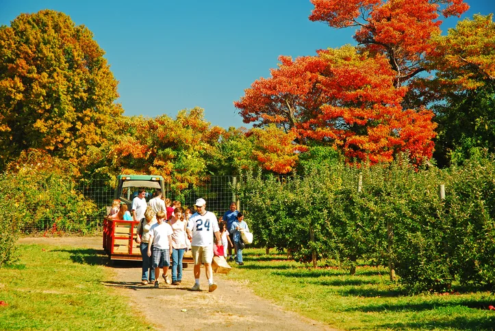 Familia disfrutando una experiencia de agroturismo recolectando manzanas en un huerto
